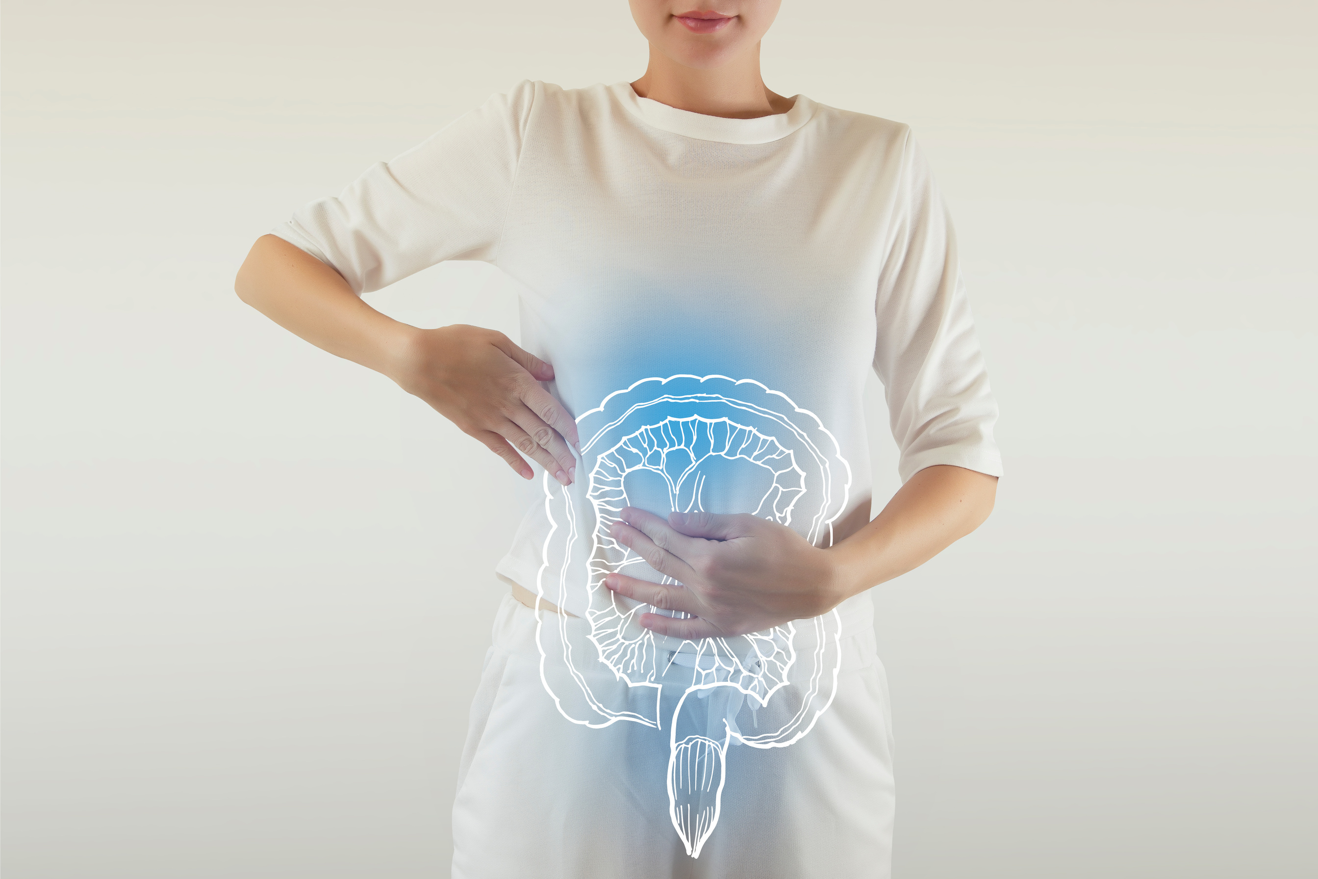 healthy intestine drawing colored blue